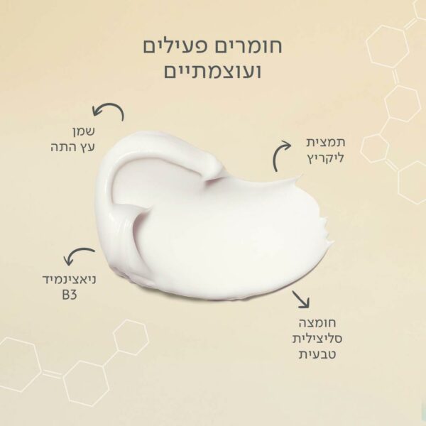 ⁦the formula⁩ – תמונה ⁦5⁩